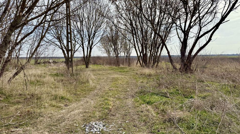 Pret redus Teren generos cu grajd nou in Varsand - Poză 7