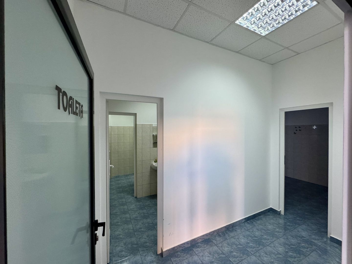 Clădire SAD de închiriat, situată la intrarea în Dumbrăvița - Poză 31