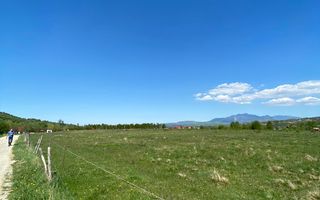 Teren Bran/ Predelut 10.663 mp. - Poză 6