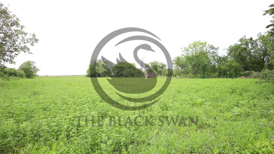 Teren + casa de vanzare | 4734 mp, deschidere 38ml| Zalhanaua, Prahova - Poză 9