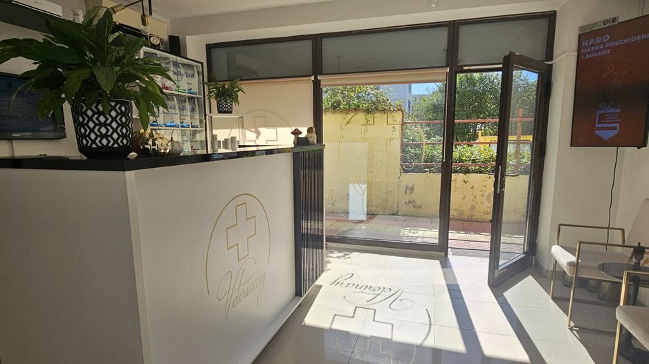 OCAZIE Spatiu Comercial Herastrau/Aviatiei - Poză 7