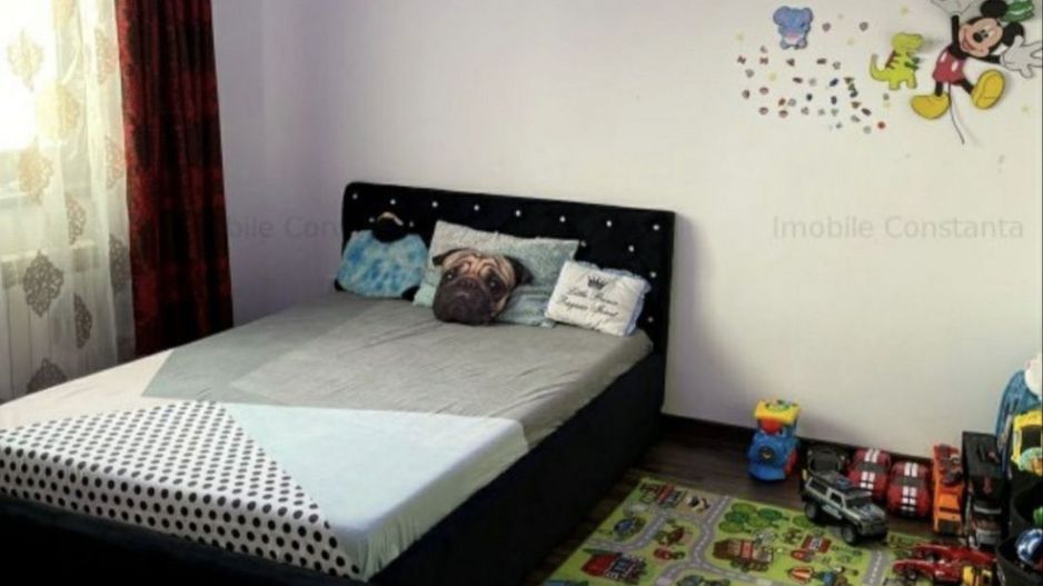 Ap 3 camere - Poză 4