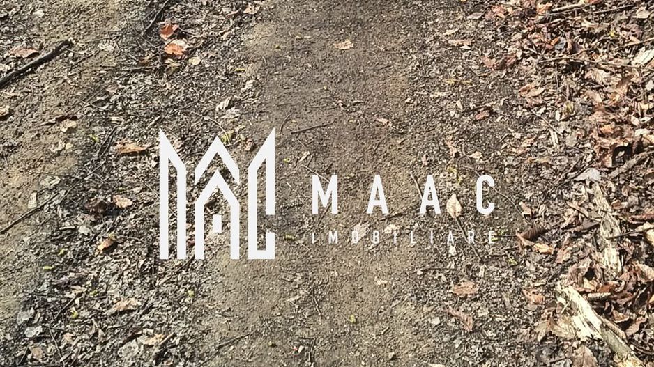 Un colt de rai in Apuseni I viața ca pe vremuri - Poză 3