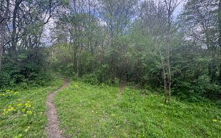 TEREN INTRAVILAN 7018 MP CAMPULUNG - Poză 27