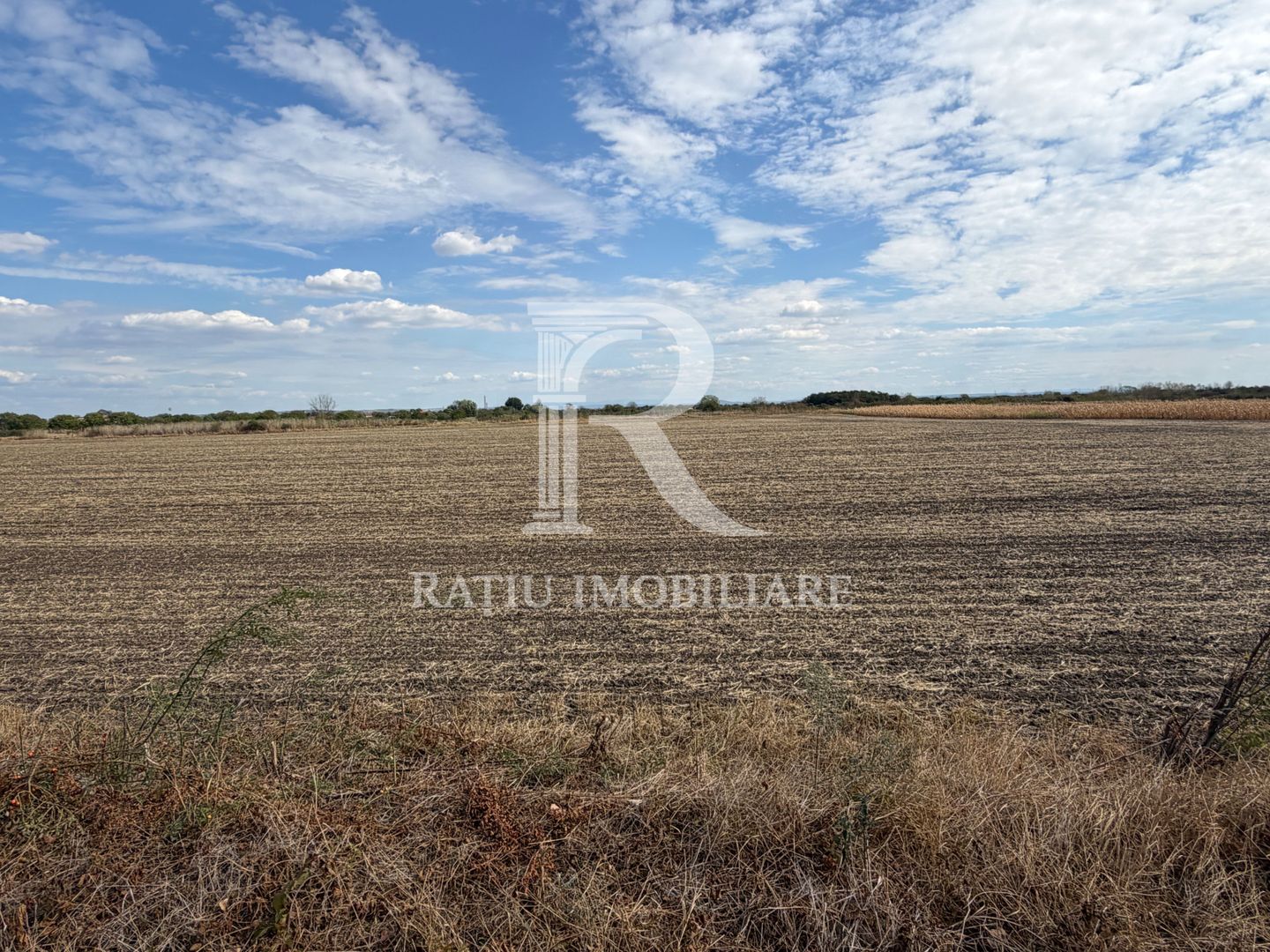 TEREN INTRAVILAN 4.750 MP | BORȘ | OPORTUNITATE DE INVESTIȚIE - Poză 4