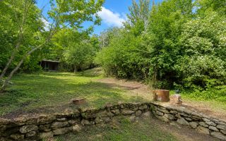 Nu este doar o vilă. Este refugiul tău verde cu 38 ari și pădurice proprie! - Poză 8