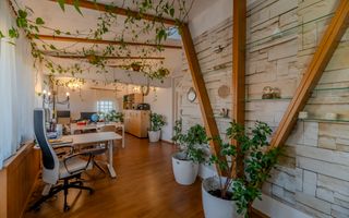 De Vânzare Vila Superba la liziera parcului Sub Arini - Poză 15