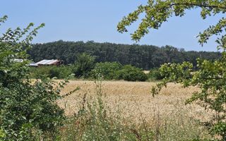 Vanzare Teren Intravilan Buftea, 750mp, str. Ulmului, Pista Biciclete - Poză 5