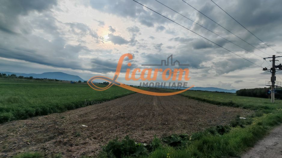Teren Stupini Calea Feldioarei 11800 mp,25 euro/mp, front asfalt-DN13 - Poză 2