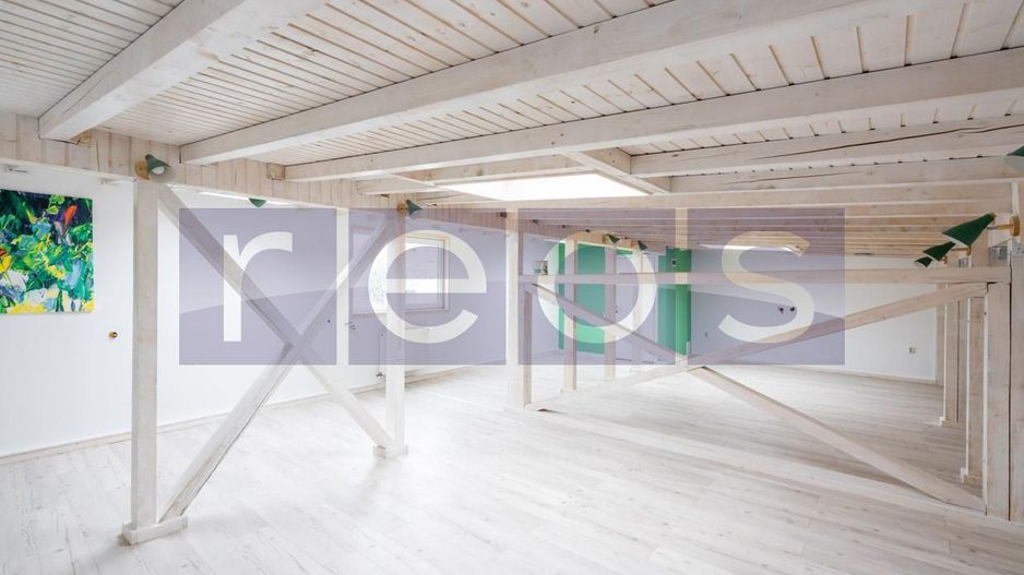 INCHIRIERE VILA CADEREA BASTILIEI | 240MP | PRETBAIL BIROU | PARCARE - Poză 14