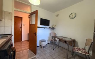 LACUL TEI - Cristea Mateescu | Chirie 2 Camere + Parcare - Poză 10