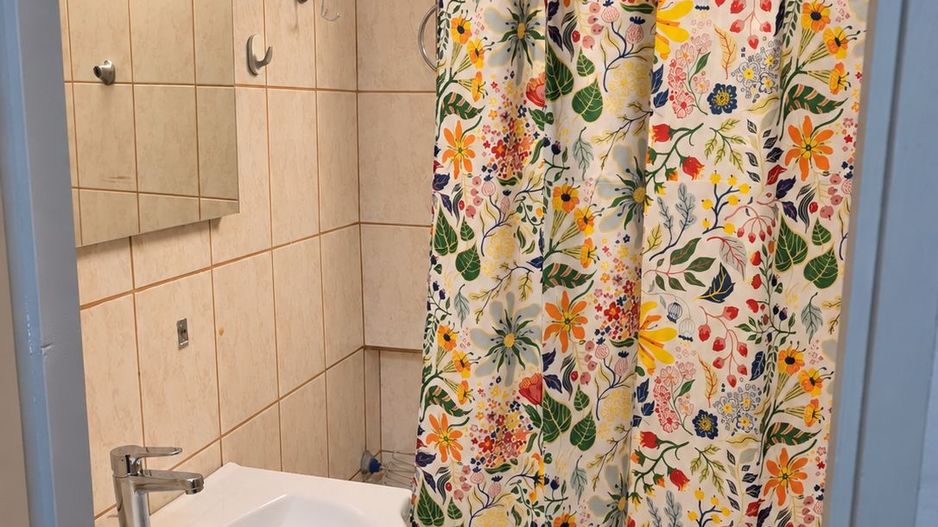 Șagului | Intrarea Castanilor | 3 Camere | Recent renovat | Pet Friendly - Poză 12