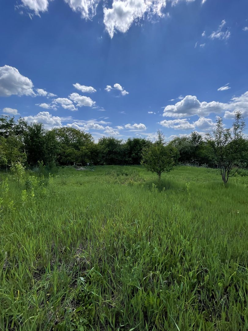 Casa in Comuna Geaca - Poză 15