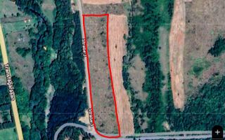 Teren extravilan 6.500 mp – două căi de acces, Cârțișoara - Poză 8