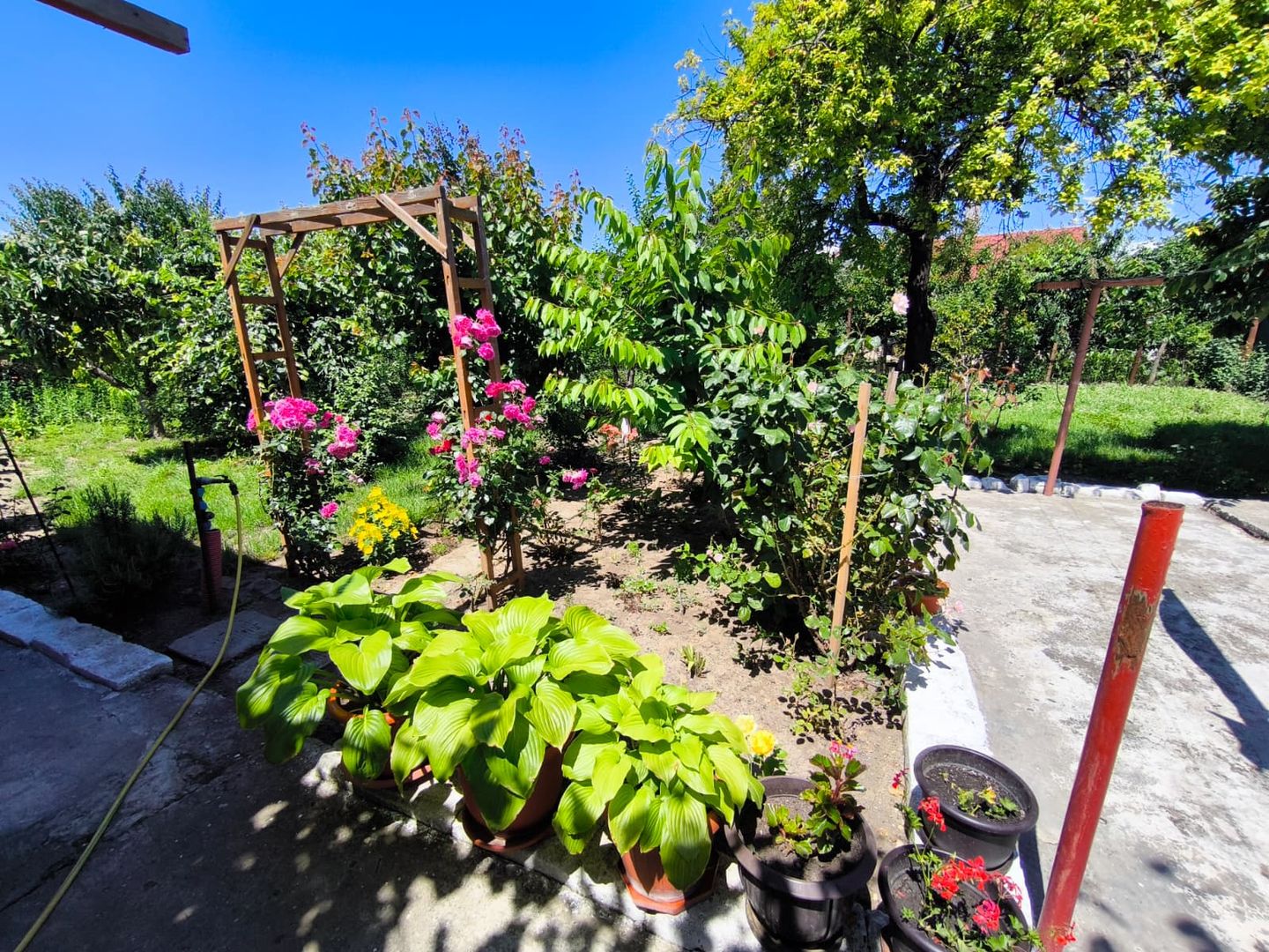 VIILE NOI - casa cu o curte generoasa disponibila imediat - Poză 20