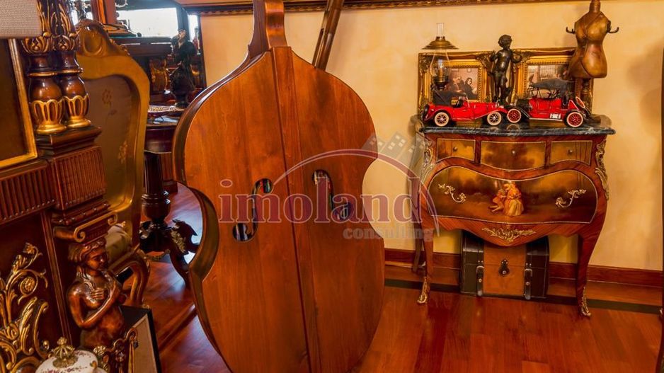 Vila unicat - vanzare - Baneasa-Liceul Francez - pret la cerere - Poză 27