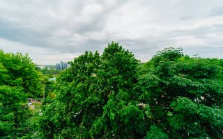 Vânzare, garsononieră, str. Eugen Coca, Buiucani - Poză 10