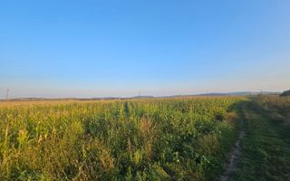 Teren intravilan, 1476 mp, Zona Ungheni - Poză 1