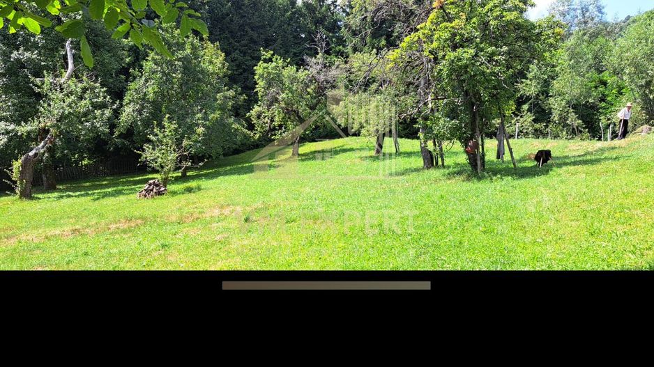 TEREN INTRAVILAN 2153 MP IN VALEA MARE PRAVAT - Poză 4