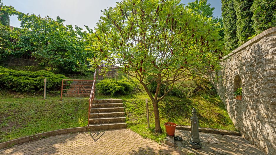 Spațiu birouri în vilă, Zorilor - Poză 8