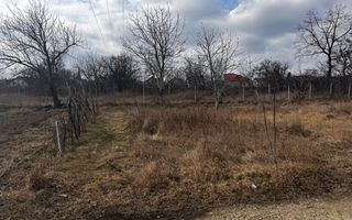 Teren intravilan pe str. calea Barladului - de vanzare - Poză 10