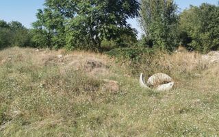 Vand teren cu suprafata de 2815 mp in Bragadiru deschidere 60 ml! - Poză 6