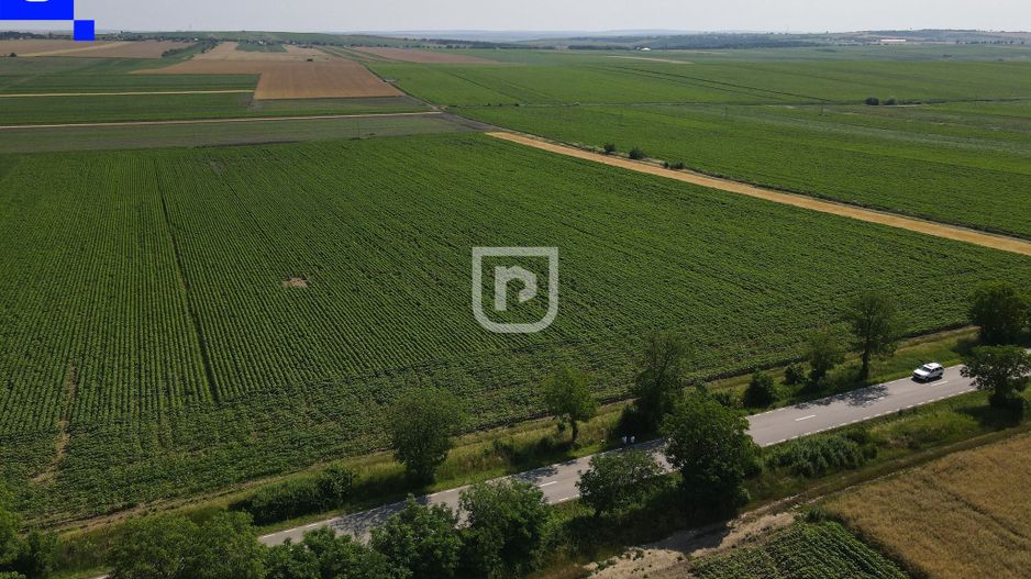 Teren - Orășeni Deal, Curtești | BOTOȘANI | 10.000mp - Poză 7