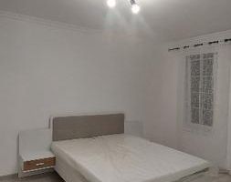 Apartament 2 camere Giroc parter - Poză 3