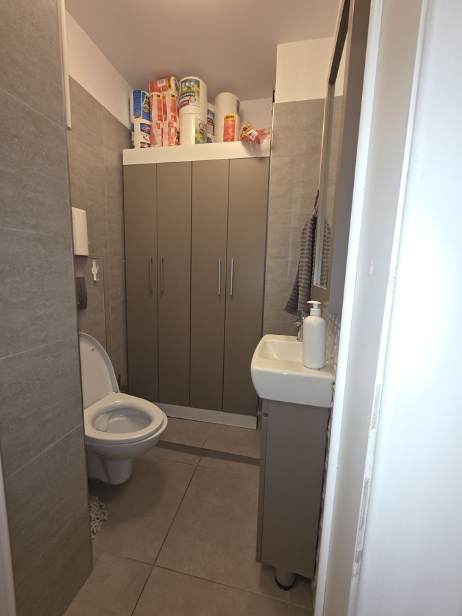 Apartament Emil Botta // Casa de Pensii - Poză 8
