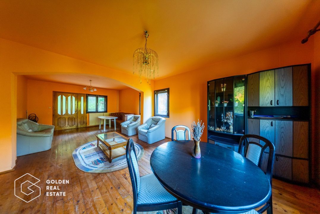 Casa de vacanta, localitatea Cladova, ideal pozitionata - Poză 6