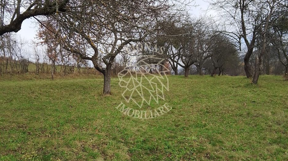 Teren 3966 mp-2 deschideri-curent-investitie-Budacu de Jos - Poză 1