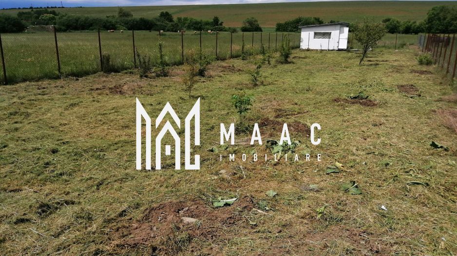 Teren Extravilan | Imprejmuit | 2216mp | Sura Mica - Poză 1
