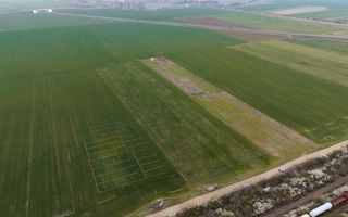 Teren dezvoltare bloc P+2E+M Giroc PUZ aprobat - Poză 7