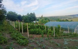 Teren intravilan de 1550 mp în localitatea Buznea, strada Corneliu Coposu - Poză 5