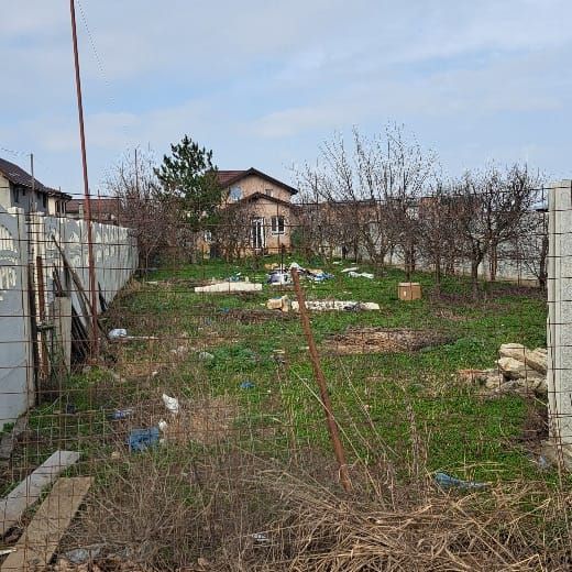 Casa P+M Com Vidra - Poză 5