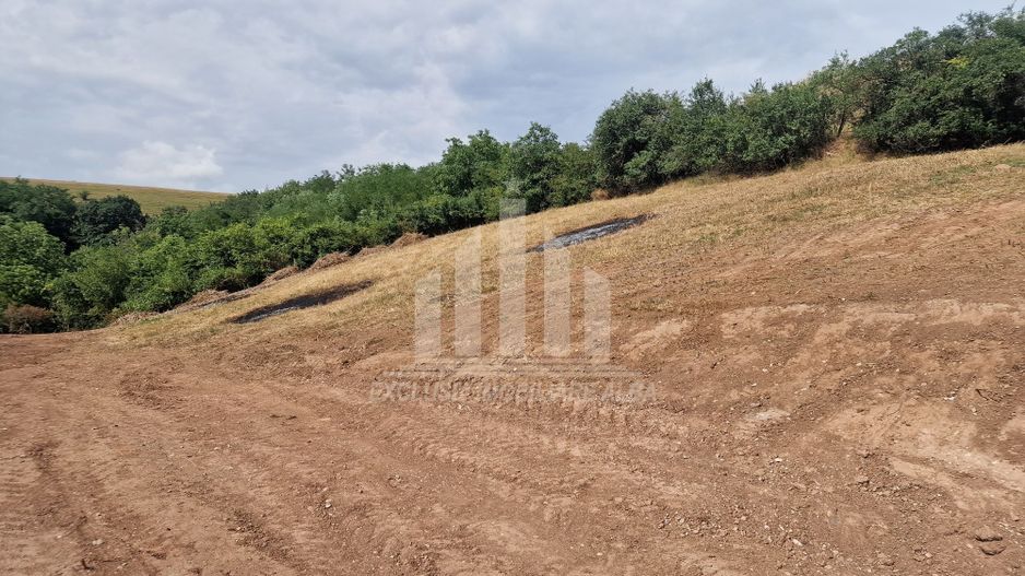 Teren intravilan intre Micesti si Sard - Poză 4