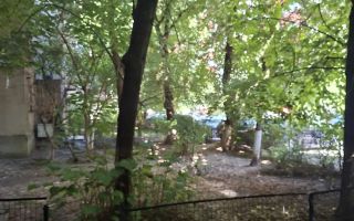 Apartament 3 camere decomandat | Bd. Gheorghe Șincai nr. 14 | Etaj 2 8 | Loc de parcare | 209.000 - Poză 6