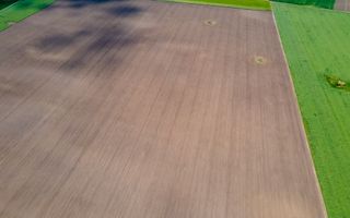 Teren de 5Ha în Satchinez. - Poză 8