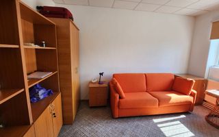 Spatiu industrial productie/ depozitare, Timiș - Poză 24