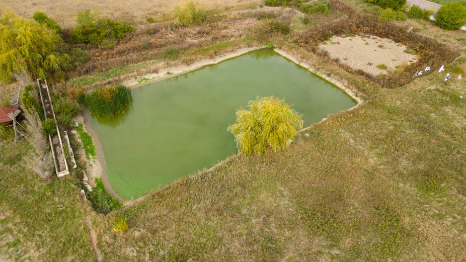 Teren intravilan cu iazuri și casă - Chișineu-Criș - Poză 31