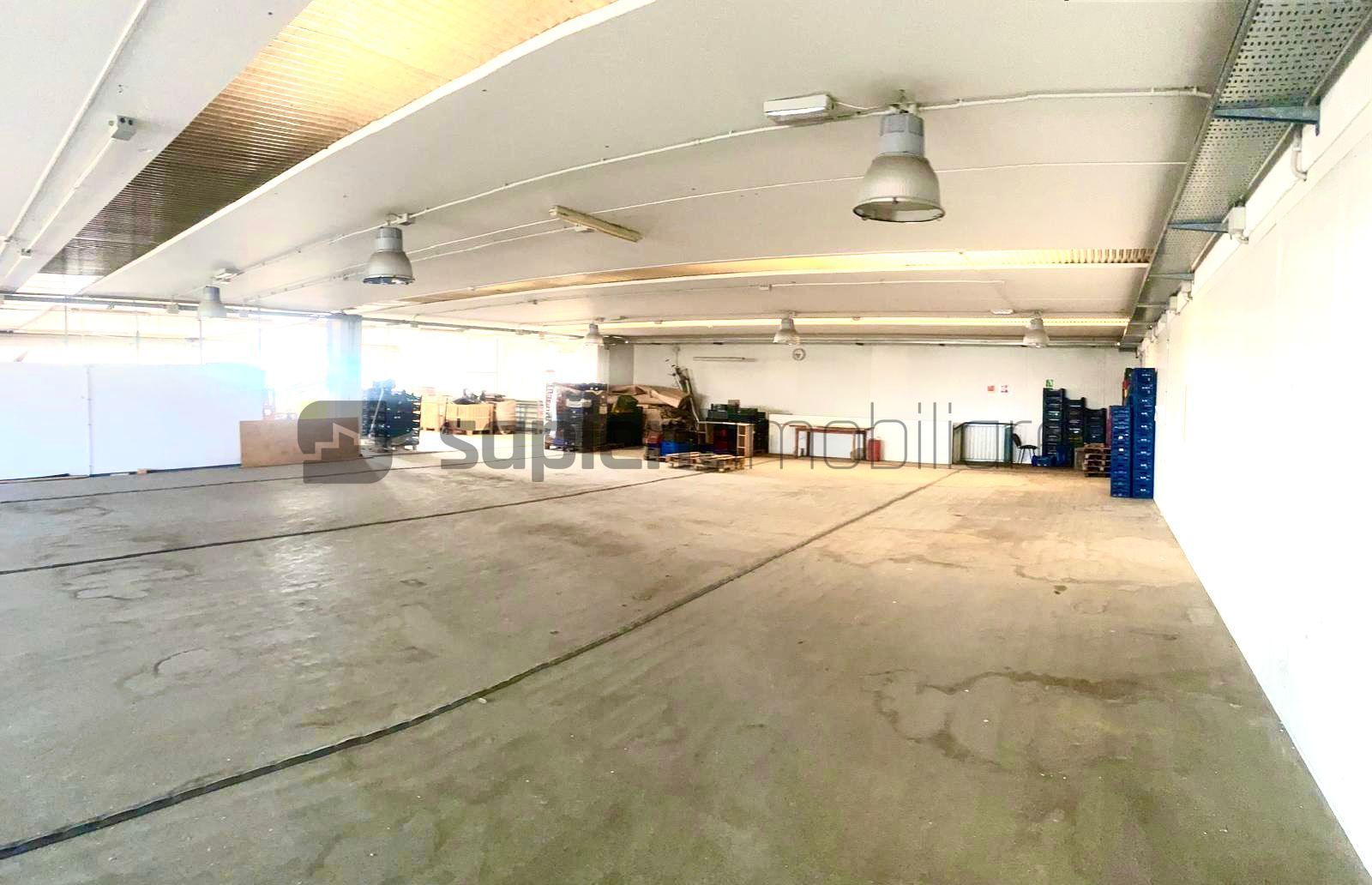 Sapient | Hală situata în com. Borș - Poză 4