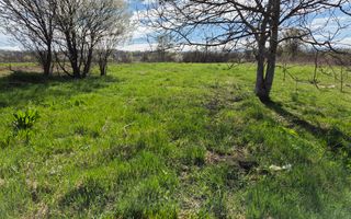 Vand casa 6 camere in Silvasul de Jos, 258mp si 3787mp teren! - Poză 5