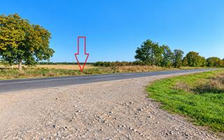 4,85 HA CU DESCHIDERE DE 300 M LA TRASEU | CRIULENI – SLOBOZIA-DUȘCA - Poză 3
