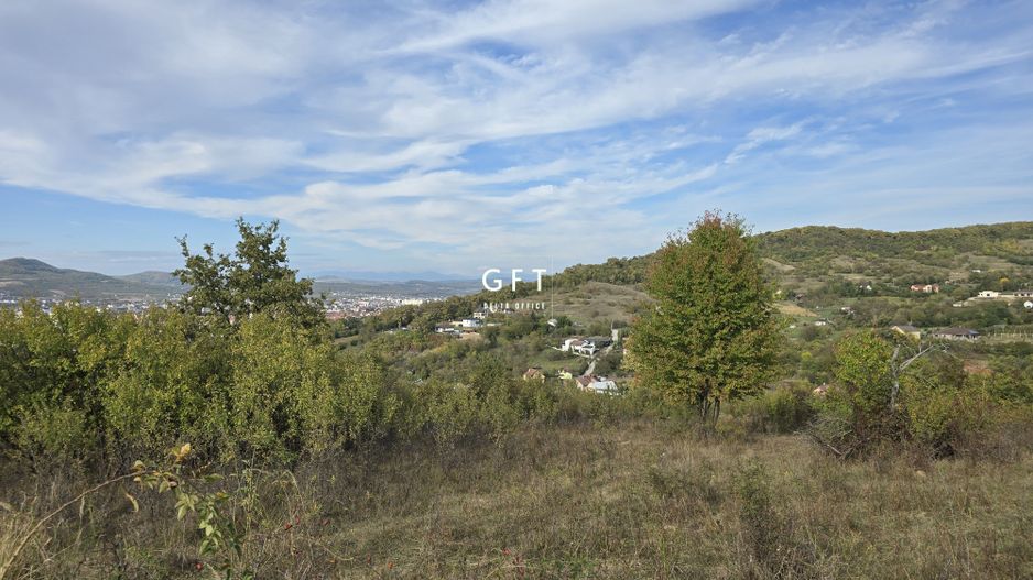 Teren de vânzare 8000 mp . - Poză 2