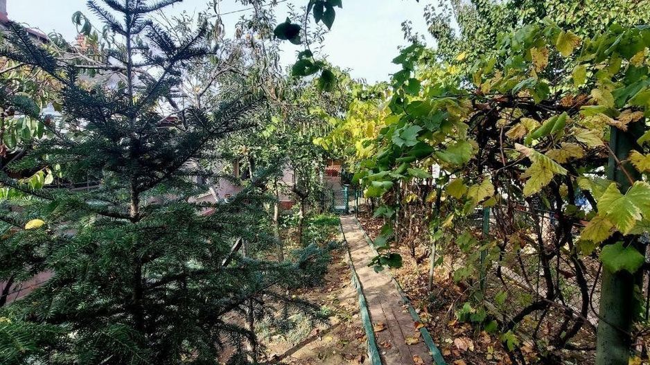 Proprietar casa individuala Bucurestii Noi-Aeromodelului- FARA AGENTII - Poză 11