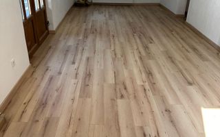 Pensiune/ Vila Valea Avrigului - Poză 10