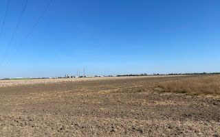 Teren agricol în Zona Sagului - Poză 5