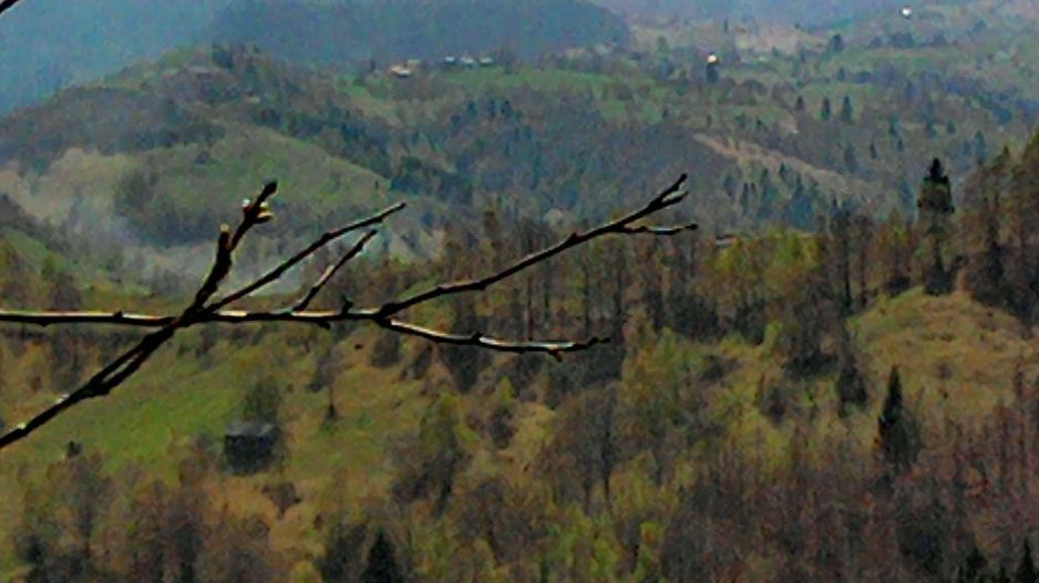 teren intravilan in zona Magura Bran - Poză 20