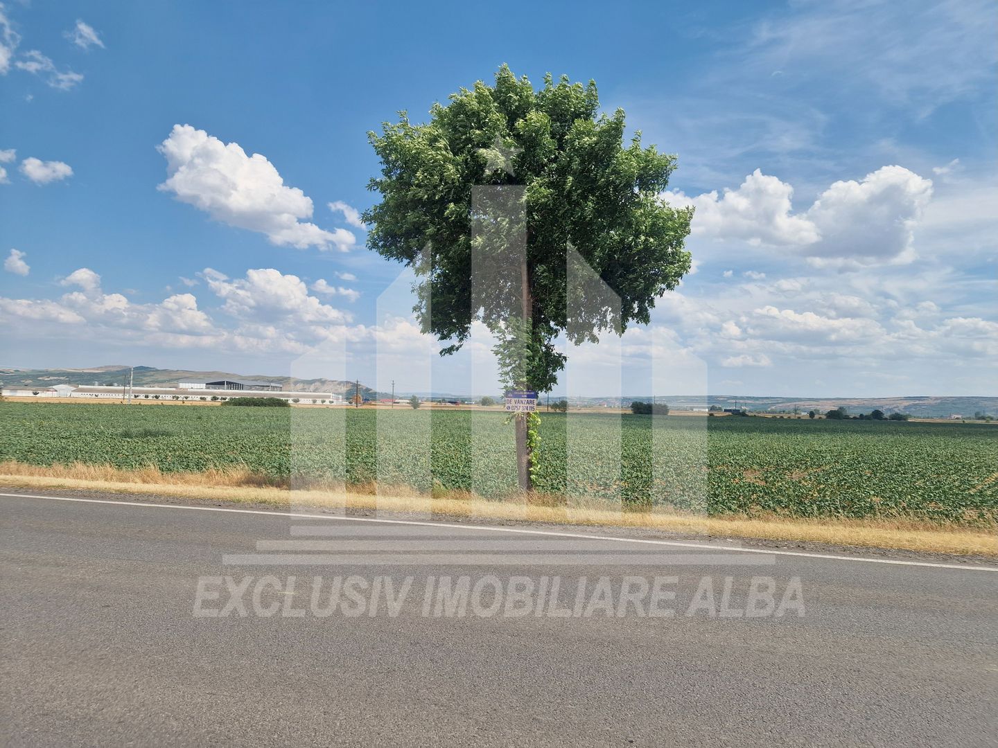 Teren agricol la sosea, pretabil si ptr constructii industriale - Poză 4