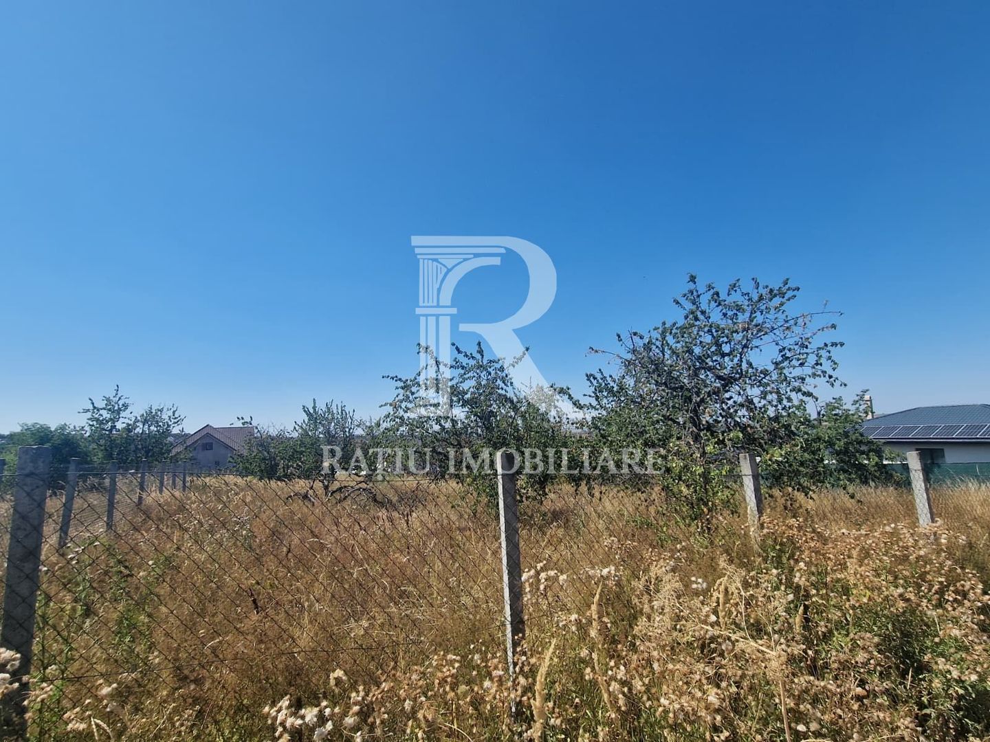 Teren Intravilan | Imprejmuit | 1000 mp | Paleu | Bihor - Poză 3